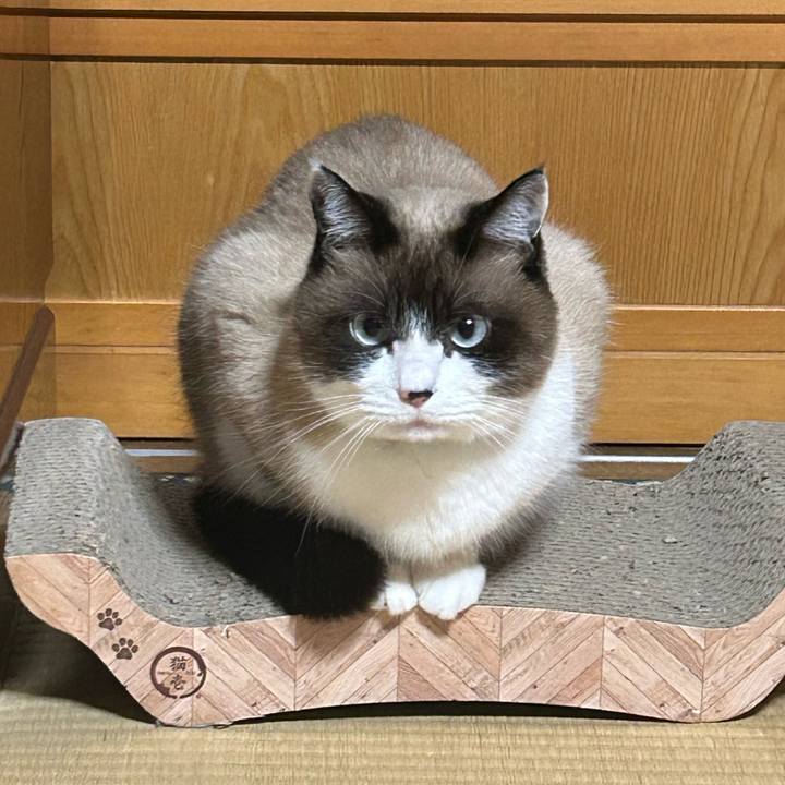 C272f458 a37b 4f1c 8d61 cd47a2b04414 1762776499894