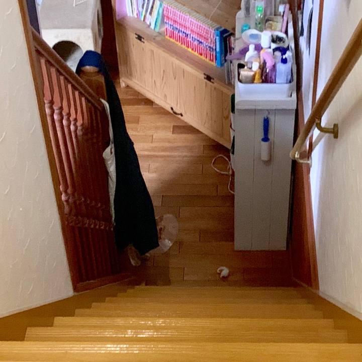 C27305d7 fd04 4116 a488 29ce6b6b9da5 1568203080877