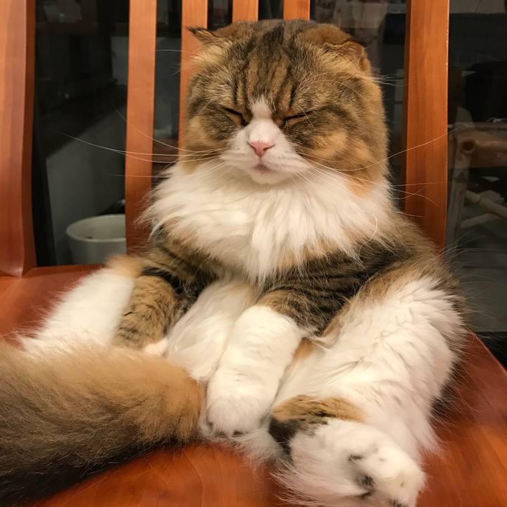 C2730ef7 4822 4cee 875d f79108598463 1509978210015