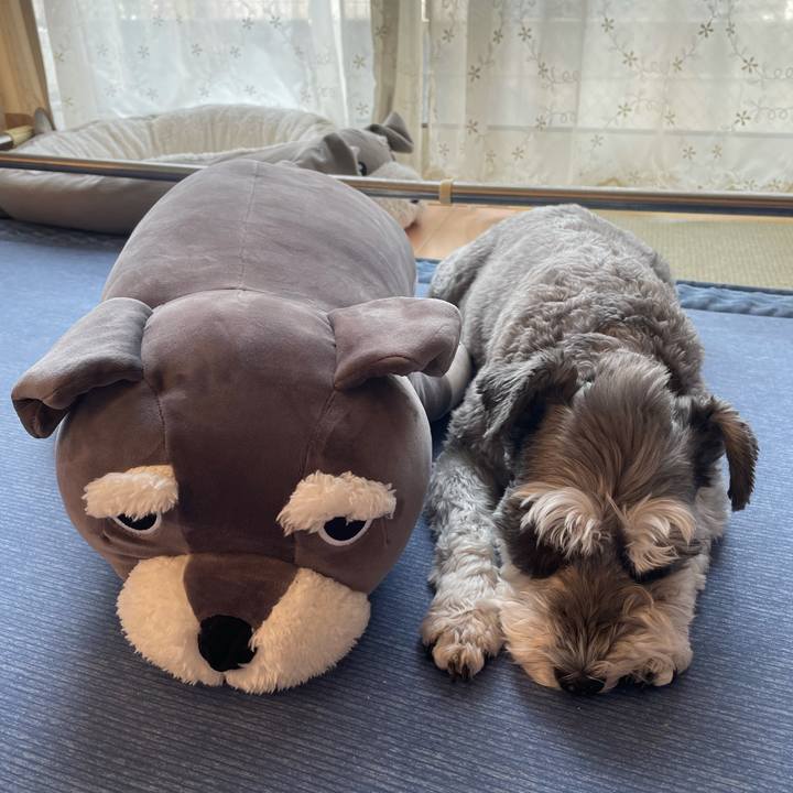 C273108b 6916 4d04 a43e 826dd03e892e 1627441083919