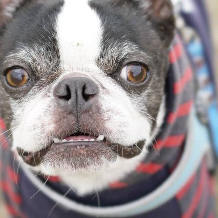 C2731aa1 23a9 4898 8052 bc4dba40f72a 1548671261234