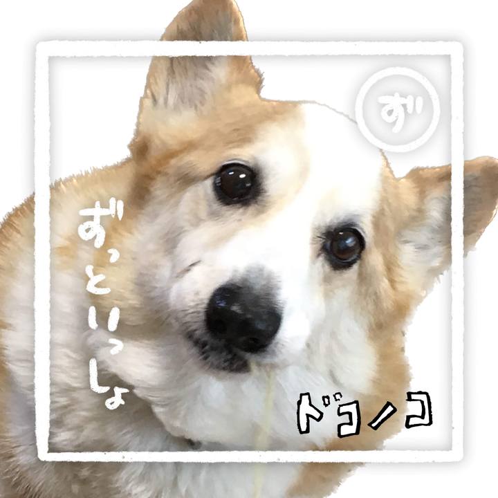 C273205b 1f45 46bc 92d4 e448ac4e0813 1685932297603