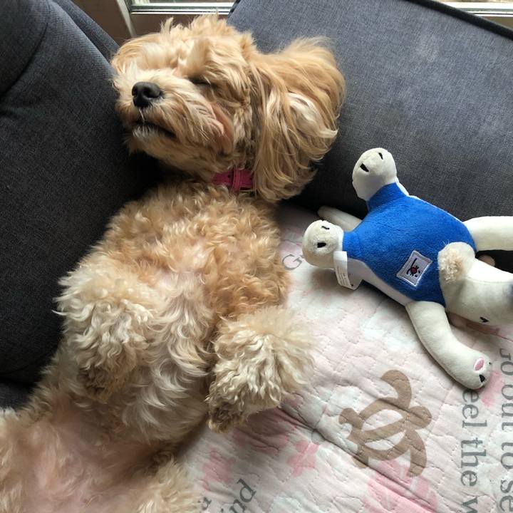 C2736493 2f76 4909 a2f1 2a9d290c11c6 1605827458102