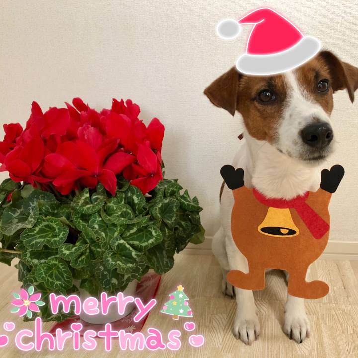 C27379af 12ec 4e7f a8db 612b81e74b73 1608794822056