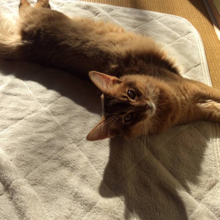 C2738a5b 19cb 4672 b429 4850012a68b7 1576460214004