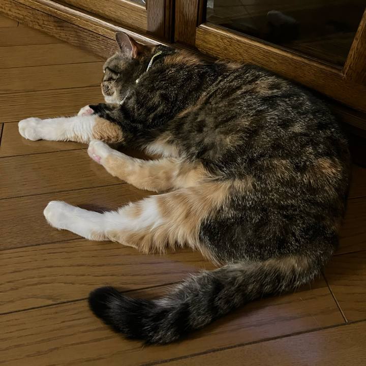 C27398f9 7753 4490 8993 386d172bde7a 1765713767332