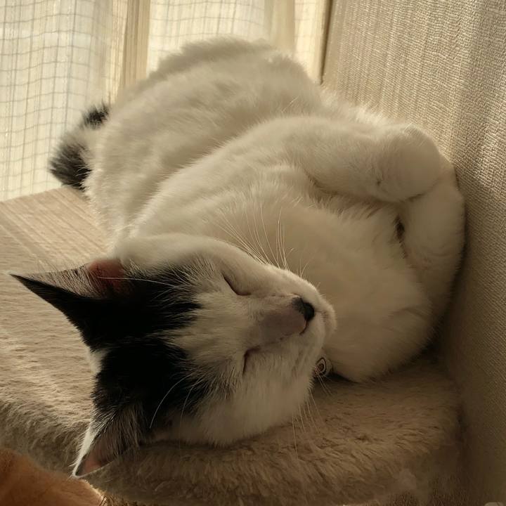 C273c2da d916 4d10 9198 dbbbf4558e01 1541225541795