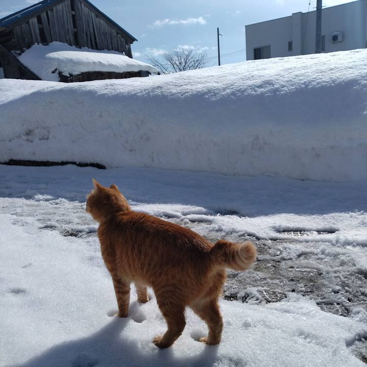 C273da41 7acc 46cd ab94 ac0796f1ceb8 1675562320508