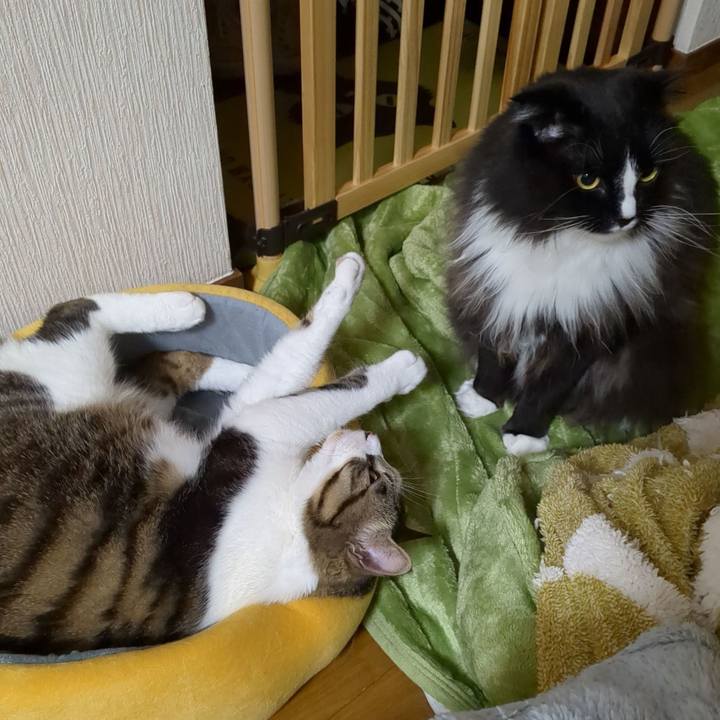 C273db0c 0e71 426e 8180 cc6bf8b11d65 1679411307290