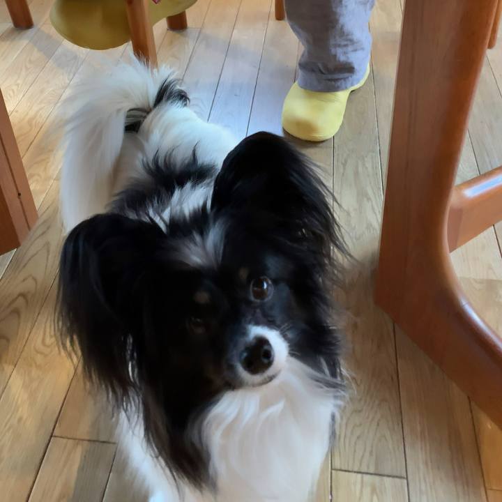 C273dedd a790 4284 8dbc 6a7b04f9adda 1552601330847