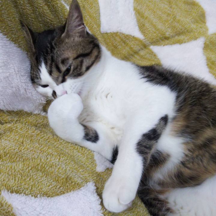 C273e580 f86a 44a0 846d 1d9ef9d63daa 1636196722441