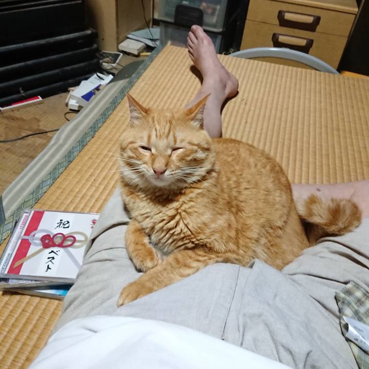 C273ecc2 98cf 4978 b7c1 0373b4705e9e 1660816430969