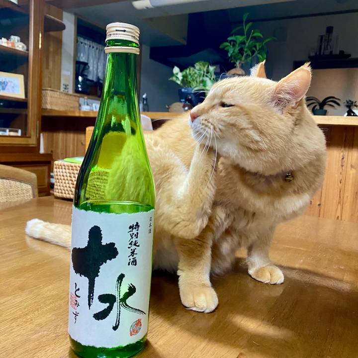 C2740efd 4144 4246 b1d5 1092a7b08ea4 1765968255896