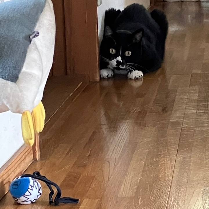 C27416b0 6b28 4762 abfe fba583c381e1 1697168311161