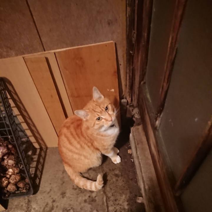 C274190c 4957 4f63 ac57 590b73f3d738 1605870042184