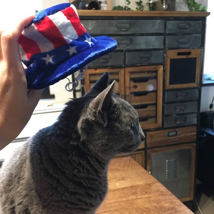 C2741d18 b2f6 40e6 9b9b a436917e24f3 1563750345220