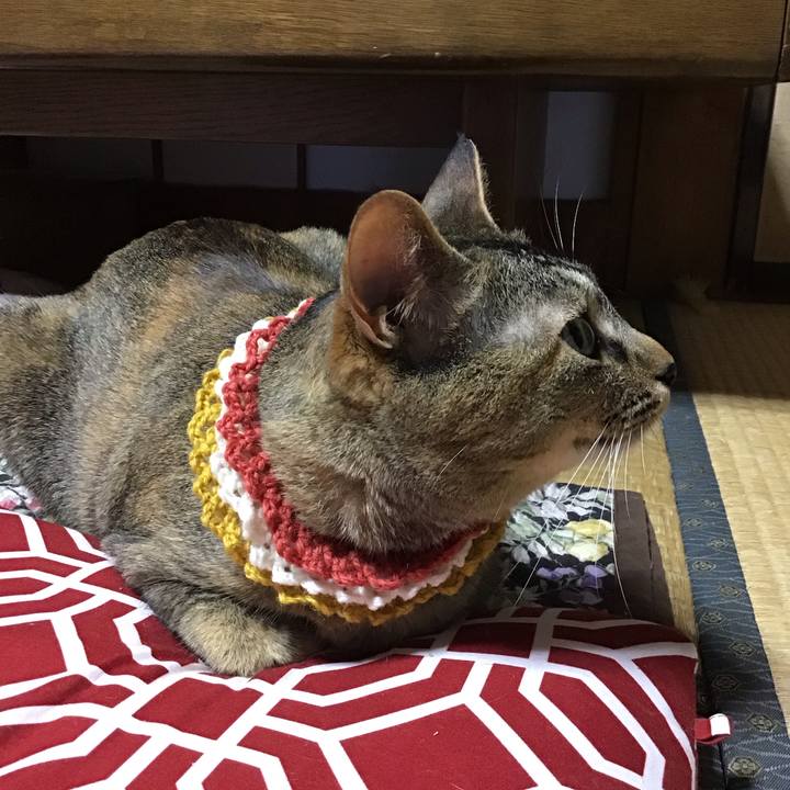 C2743325 5e5e 44b7 abf5 385d8c5a5e39 1622109082173