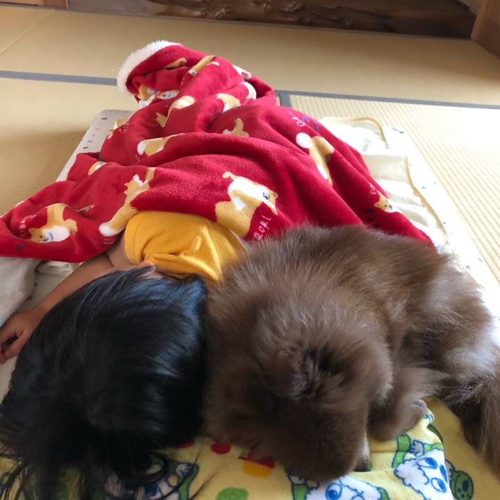 C2743d51 4bb1 4f1e 920d 038596e73fa3 1557031209360