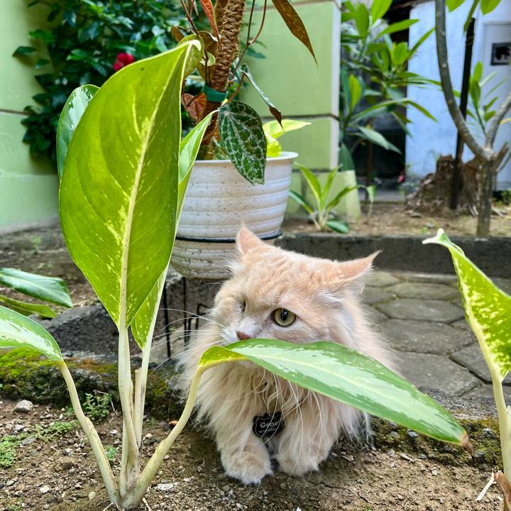 C2744a8c 8985 4f8e a70d e4be86678b14 1763361445355