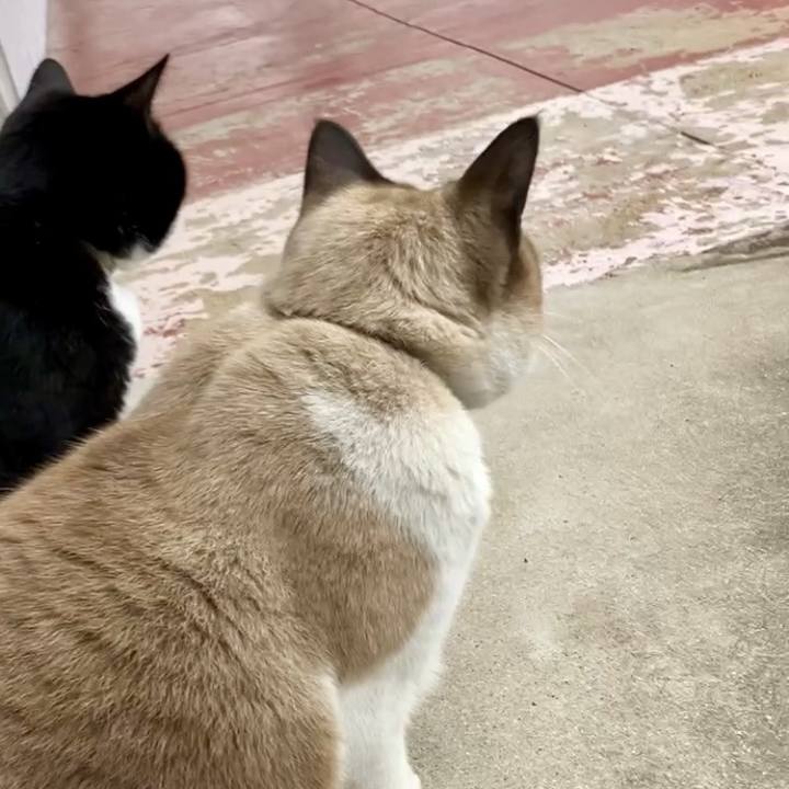 C27460c3 c293 4820 aa8b f71dd8d79fb9 1734679848270