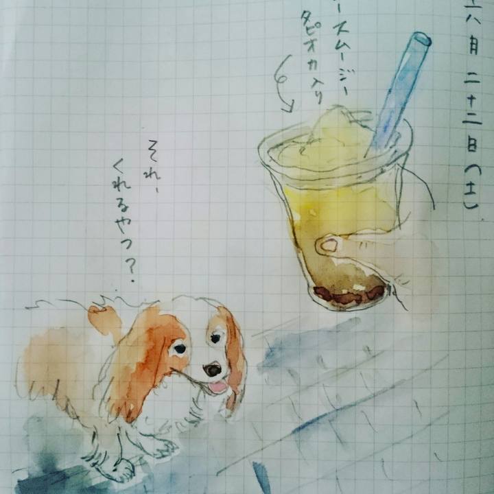 C274652b 8920 40c4 9314 f543798cf39c 1561200236846