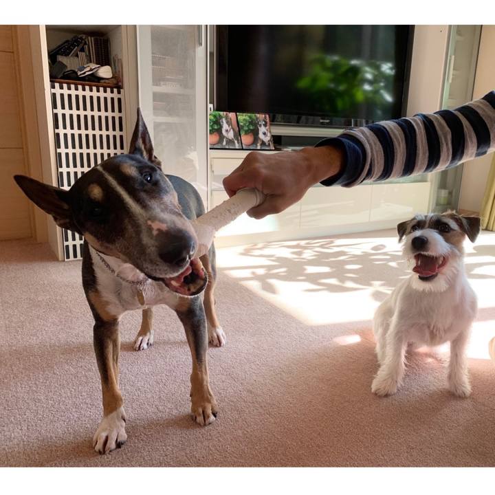 C274ac1d dcf4 4655 a9c0 b241dd69b999 1572845327178