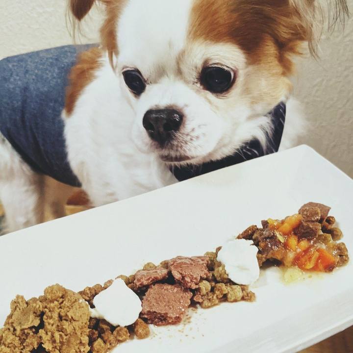 C274b648 05c2 45af 8b5a 2edff3b52617 1613575955772