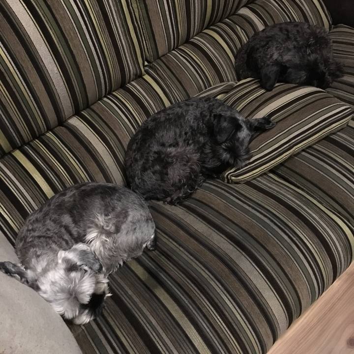 C274dad9 d5b8 4f61 b6ea ca306d7b2d4d 1510753955160