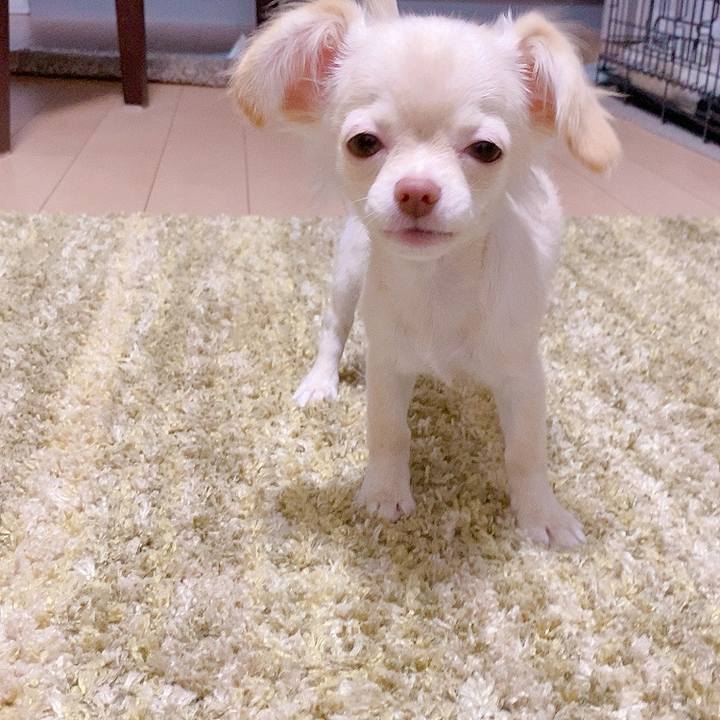 C274de45 bf85 4a12 904d a8b54685f1f2 1592477780659