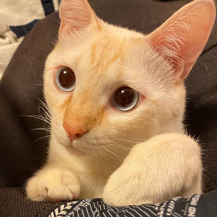 C2752f71 b63d 4f7e 837a c2b8f5ffc22b 1636008568157