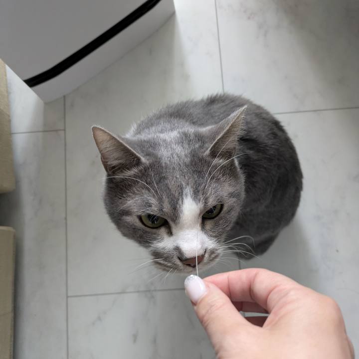 C2755553 9ae8 4b10 8ae8 06fb2b05f137 1769308003584