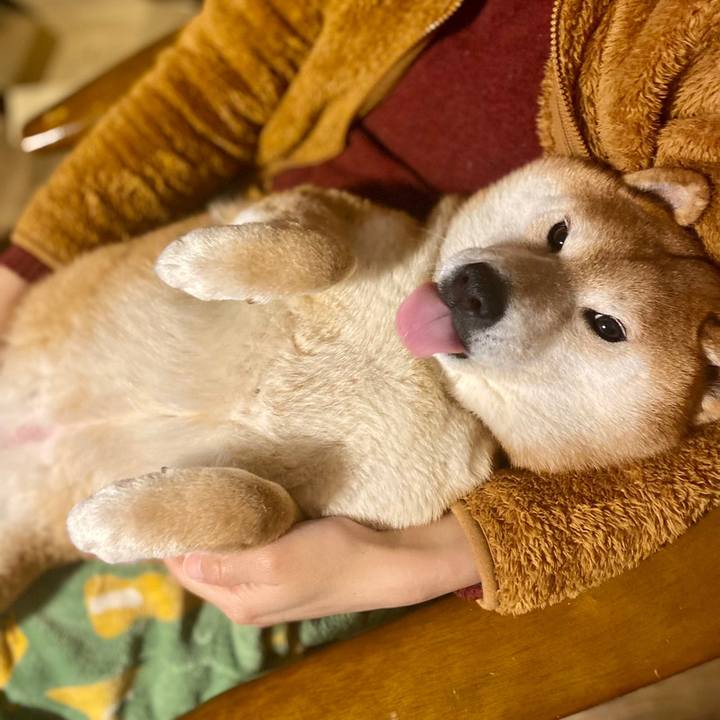 C2757267 5bc6 47a4 9176 4404b3416be0 1649121048503