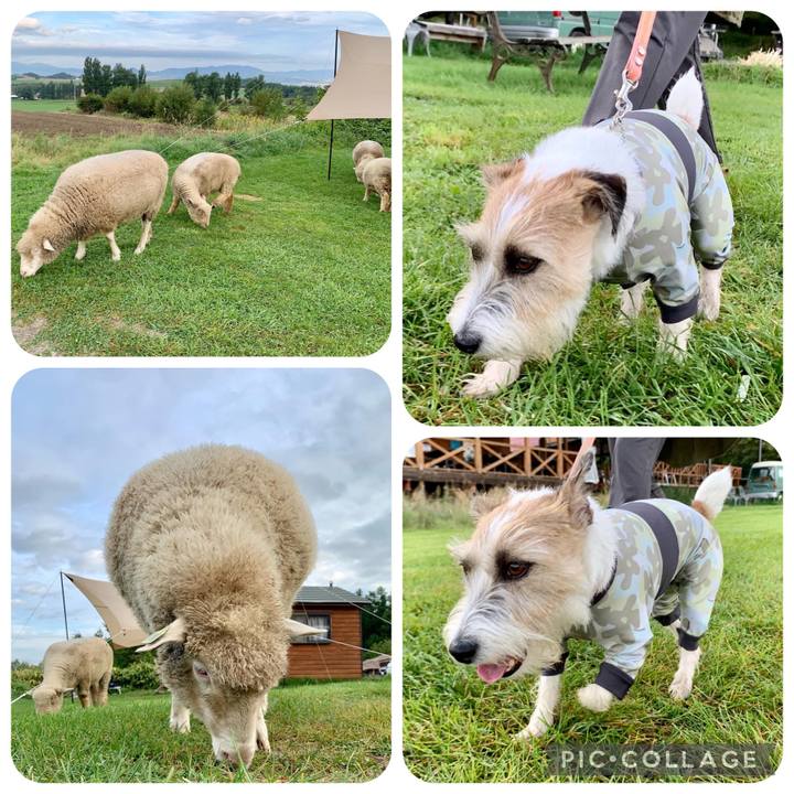 C275987c 4320 483e 90de c8fad09f9858 1662987537203