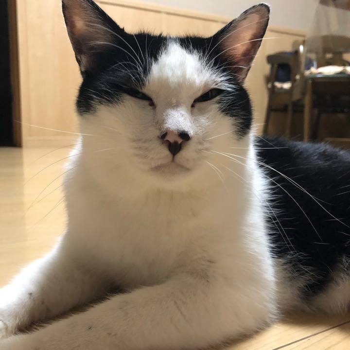 C275c12d 64d1 43f5 b756 d11e7919d6c1 1569518950287