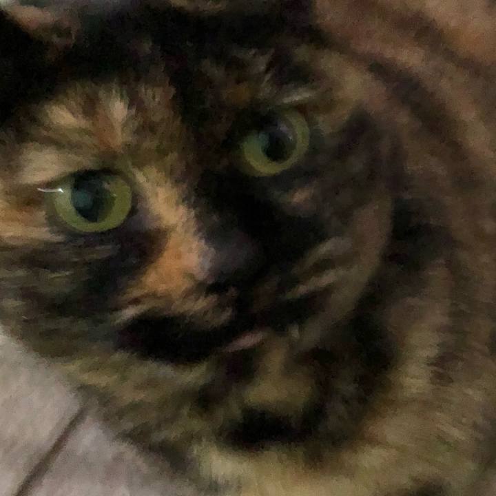 C275c473 ea14 48b4 890c 4d4f2d2f91bb 1611312763516