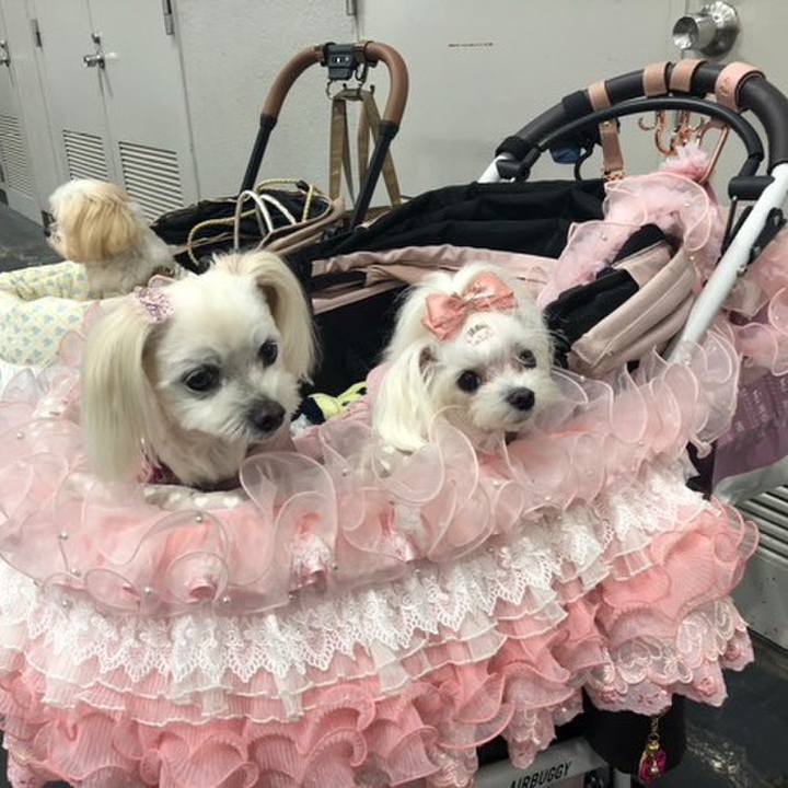 C275c915 4695 48c9 96b3 f5fabf80821b 1762248770528