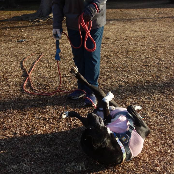 C275dbce 2ef7 47d3 bb2a bf33e820a56b 1706662112465