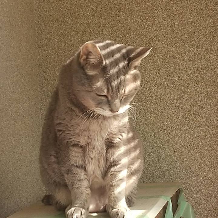 C275e901 9eaa 4b78 8346 c6502aa3b0e3 1665190332822