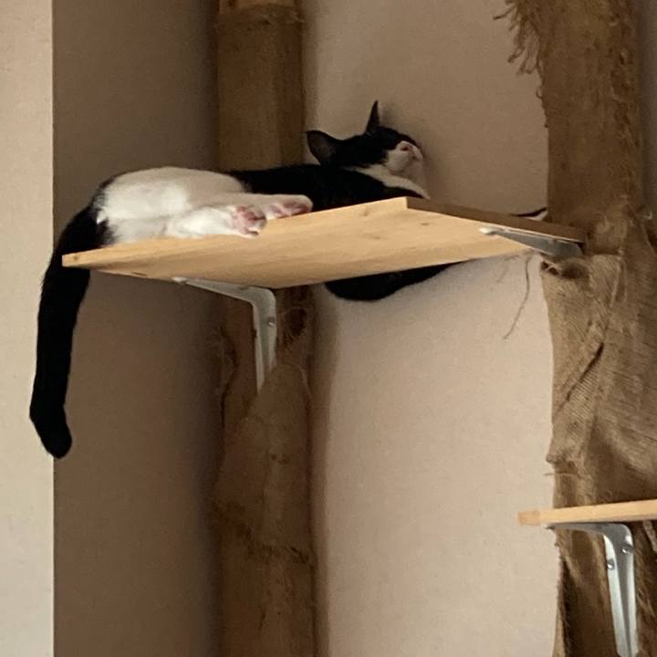 C275fee1 128c 43bf 8ee6 84a23dd65543 1662628698078