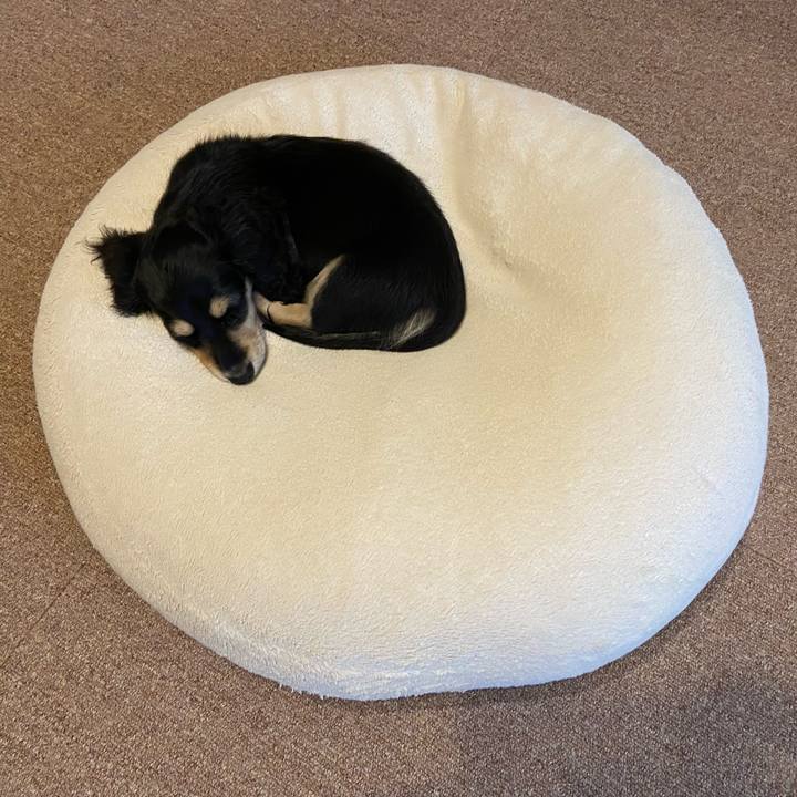 C276220e 5bd9 4437 8116 42b96c13befe 1665095461332