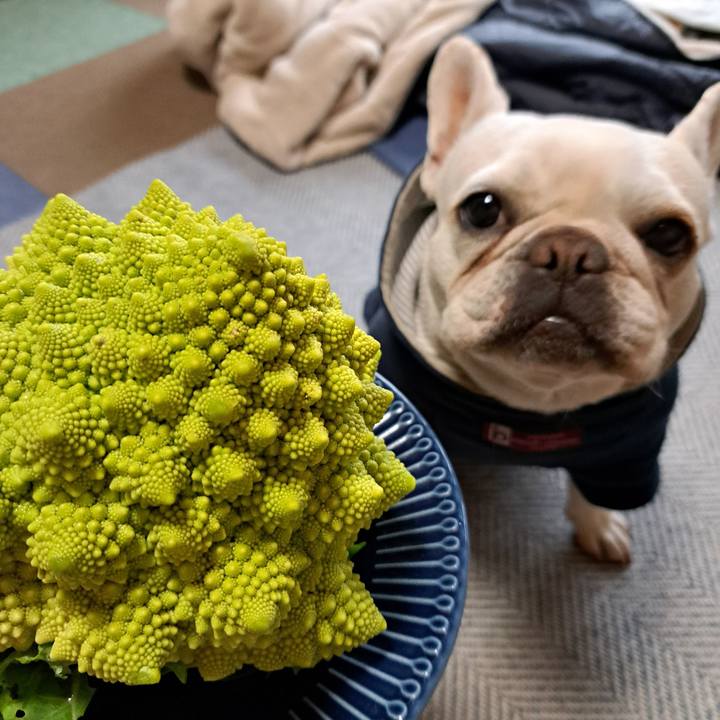 C2762491 c877 49a9 9b04 ba7085634f8e 1707094971941