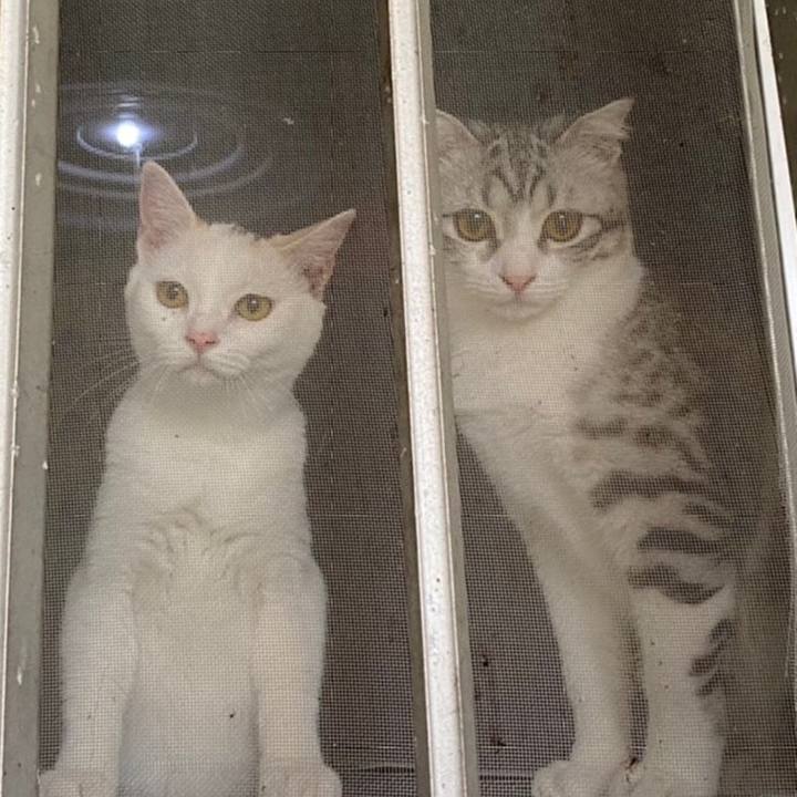 C2763916 5c21 4ec4 b383 8cddfd74c0a8 1600899874203