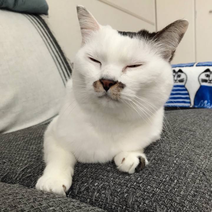 C2766a38 9a42 40f0 ba74 74a1d121df37 1580270597686