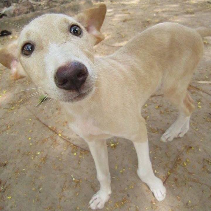 C276beae 8fc5 46d5 8e84 65b4d730d1ae 1521715853227