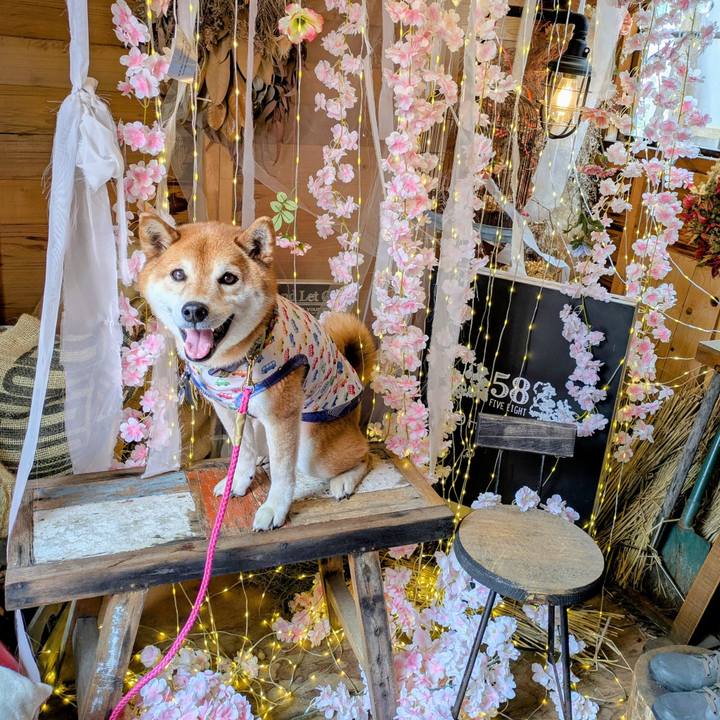 C276c5be d09e 48b1 8882 44863341812a 1745407765697