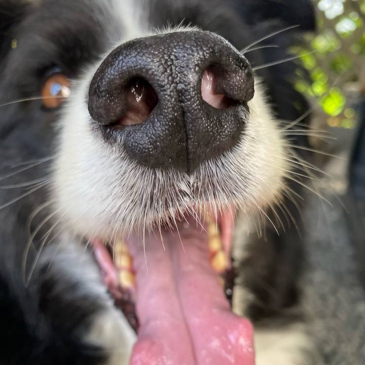 C276c63d c5ba 4c77 903d 7718a9bcd931 1659224716035