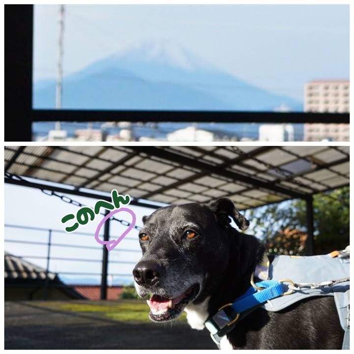 C2770261 3f28 4a4d 8ab8 122e7677fff7 1761957508246