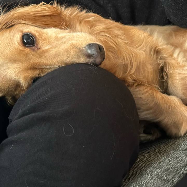 C2774830 066d 4cbd b0bf 9d699711fb8c 1703913529025