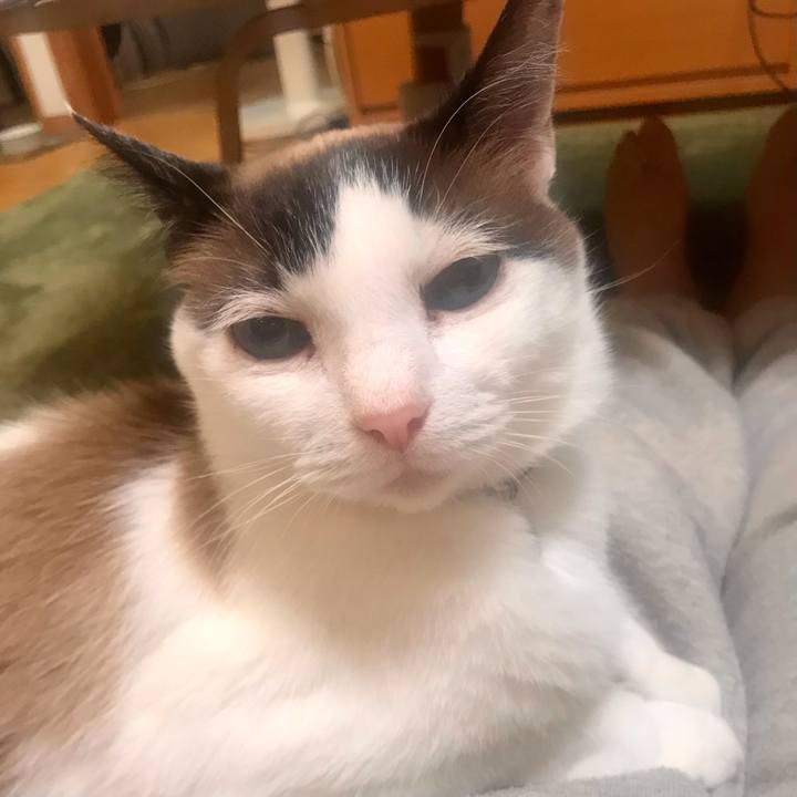 C2774a38 2afd 4709 a86f 6371eb0fdf8f 1621078921263