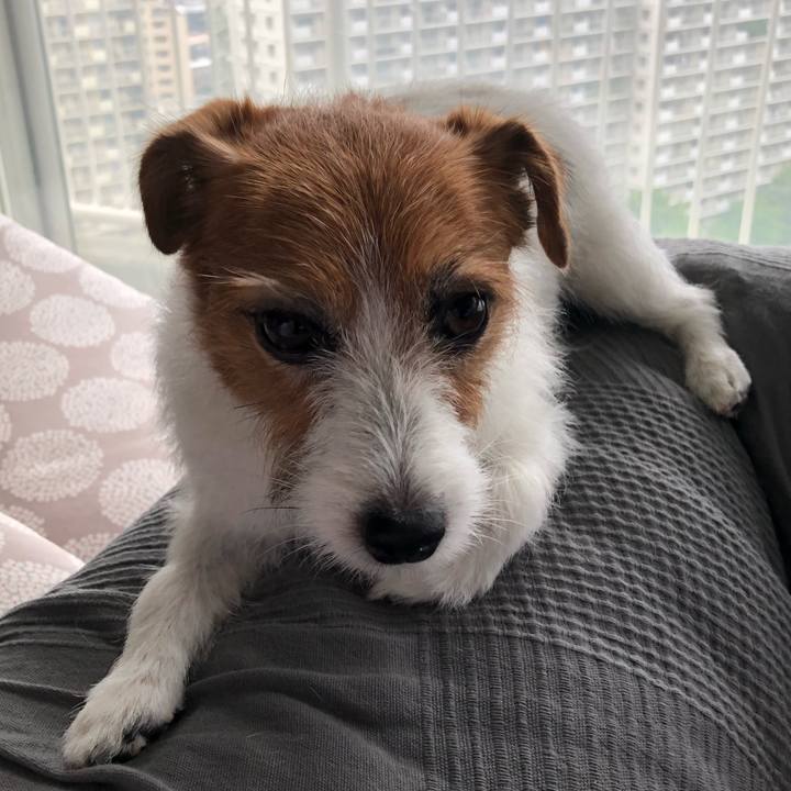 C2774c86 d0ac 492d 9b81 95fe2ef1592a 1595052057656